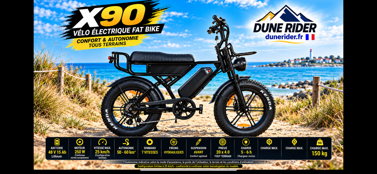 Fat bike x90