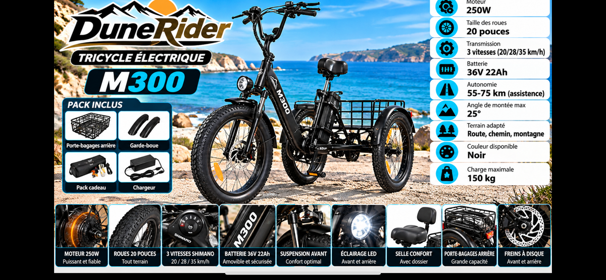 Tricycle électrique dunerider m300